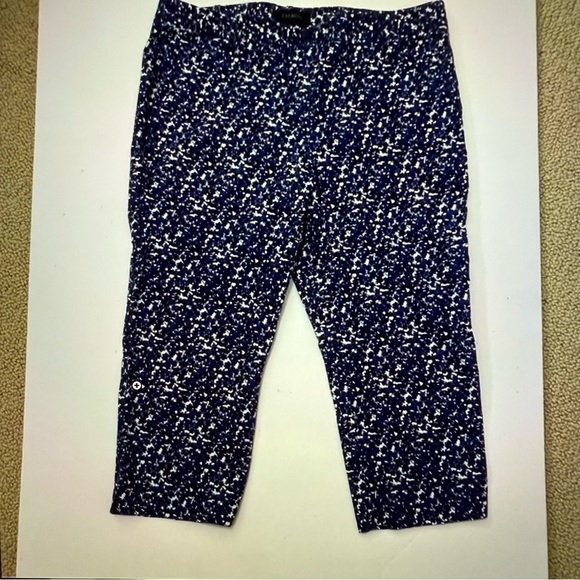 Talbots Floral Blue and White Pants capris - Picture 1 of 6